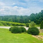Elijay Three Vineyards Private Wine Tasting Tour from Atlanta - Who Would Love This Tour?