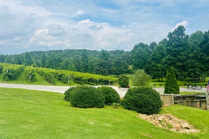 Elijay Three Vineyards Private Wine Tasting Tour from Atlanta - Who Would Love This Tour?