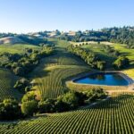 Enchanted Napa & Sonoma Wine Tour from San Jose - Crossing the Golden Gate Bridge