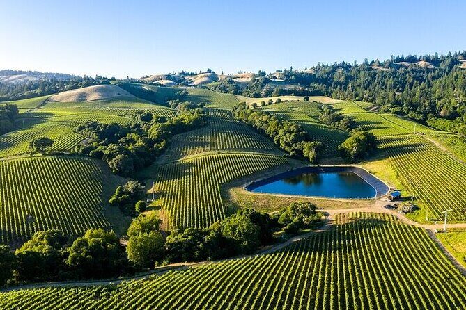 Enchanted Napa & Sonoma Wine Tour from San Jose - Crossing the Golden Gate Bridge