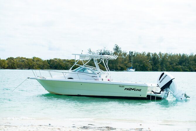 Enjoy Miami aboard our Proline 24ft - What Some Travelers Say (from actual reviews)