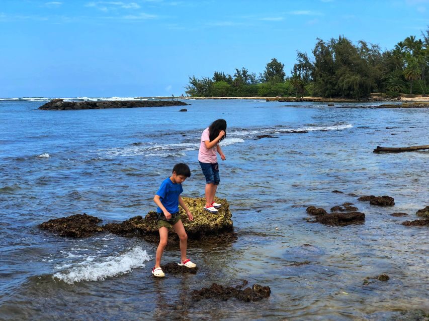 Enjoy Private Professional Photo Tour in Honolulu Island - What Makes This Tour Stand Out?