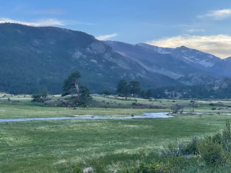 Estes Park: Guided Sunset Elk Mating Ritual Tour - Transportation, Timing, and Practicalities