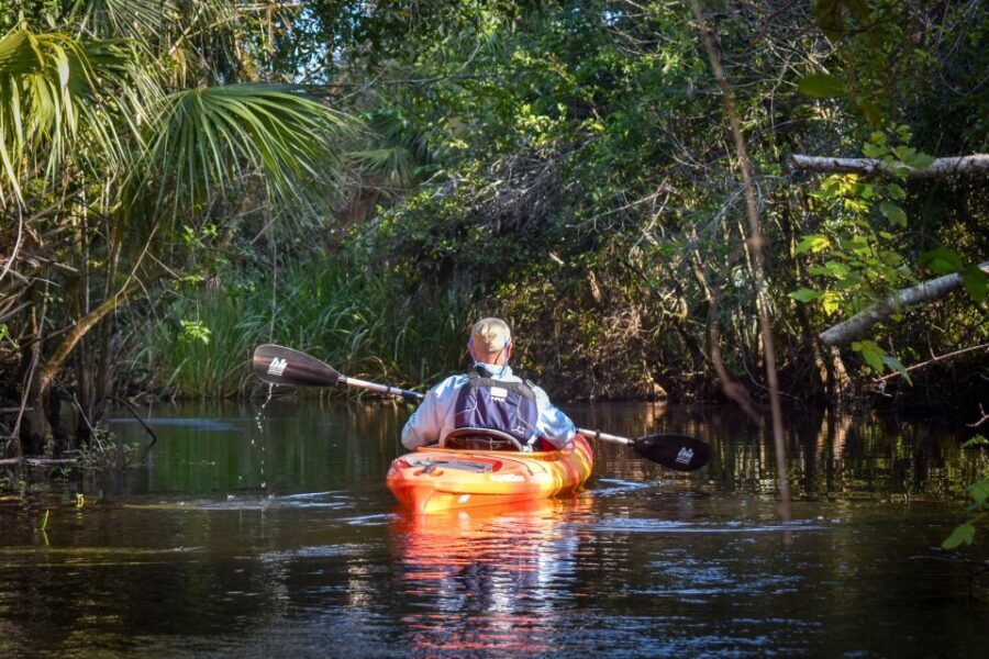 Everglades City: Guided Kayaking Tour with and Airboat Ride - What We Think About the Price and Value
