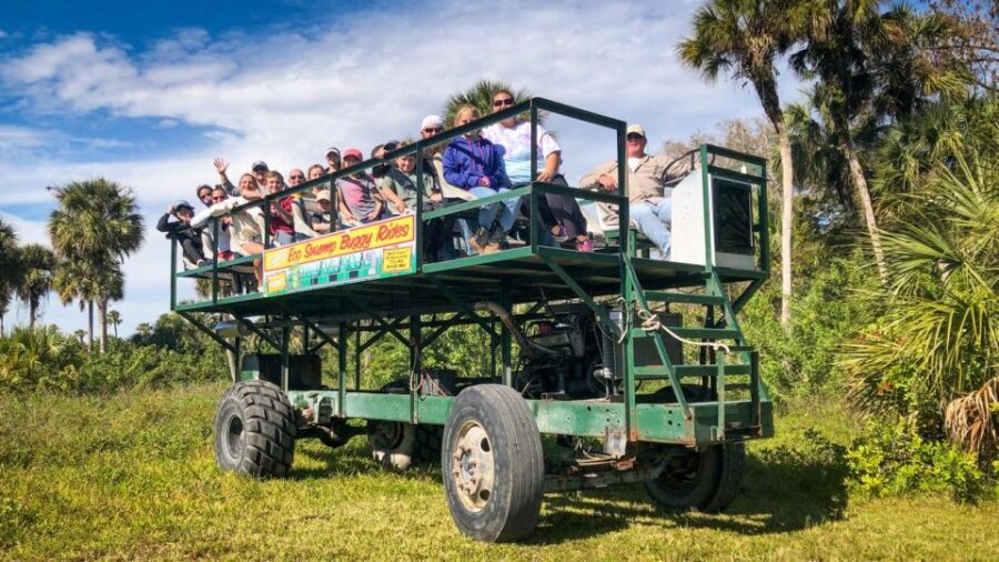 Everglades: Mangrove Maze Airboat Tour and Boardwalk - What Travelers Are Saying