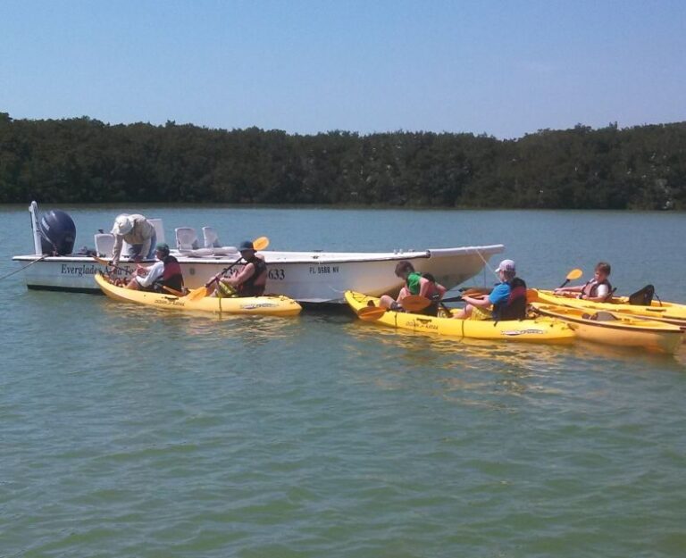 Everglades National Park: Boat Assisted Kayak Eco Tour - Why This Tour Might Be Perfect for You