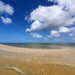 Everglades National Park: Motorboat Eco Tour - Who Should Book This Tour?