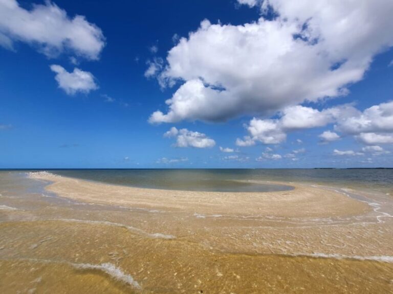 Everglades National Park: Motorboat Eco Tour - Who Should Book This Tour?
