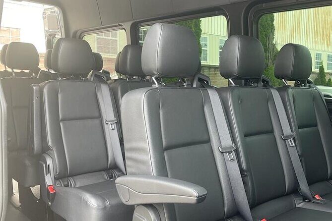 EWR/Manhattan Airport Transfer in Luxury Van-One Way Transfer. - The Vehicle and Comfort