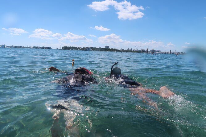 Exclusively Private Snorkel Adventures Training & Tours Ultimate - Why This Tour Works for Different Travelers