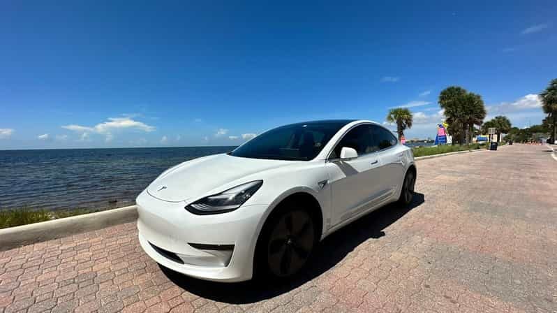 Explore Miami with a Private driver - Why This Tour Might Be Right for You
