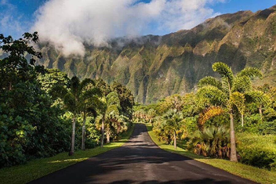 Explore Oahu in a Polaris Slingshot - What to Expect During Your Drive