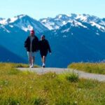 Explore Olympic National Park from Seattle through Van /Ferry - Hurricane Ridge: Mountain Majesty and Active Adventures
