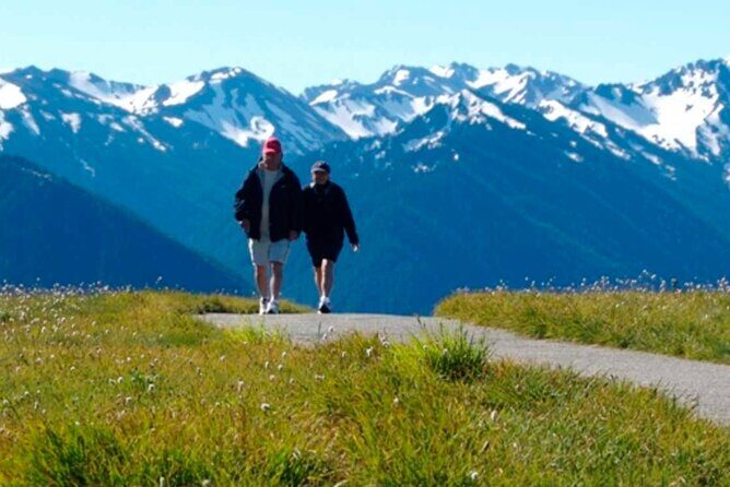 Explore Olympic National Park from Seattle through Van /Ferry - Hurricane Ridge: Mountain Majesty and Active Adventures