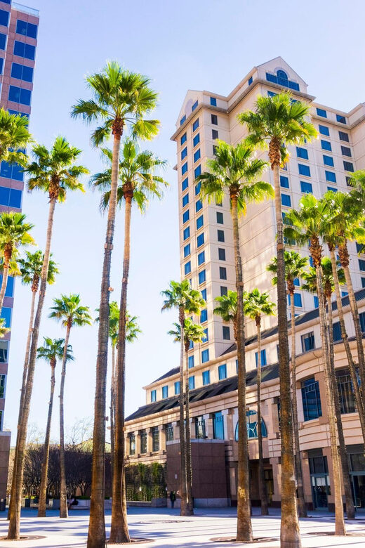 Fabulous City walking tour of San Jose - The Value of This Private Tour