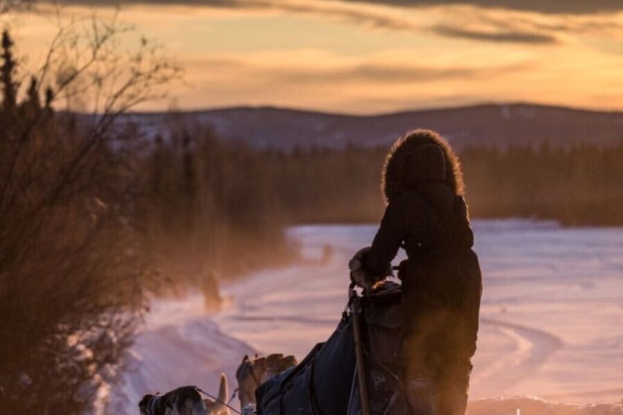 Fairbanks: Private Mush on the Historic Yukon Quest Trail - Practical Details