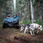 Fairbanks: Summer Mushing Cart Ride and Kennel Tour - The Details: How It All Comes Together