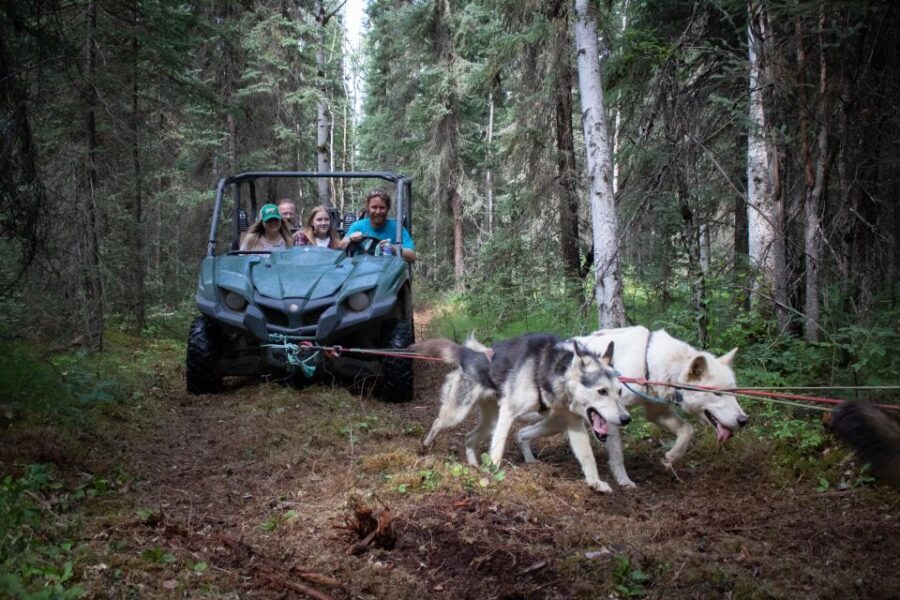 Fairbanks: Summer Mushing Cart Ride and Kennel Tour - The Details: How It All Comes Together