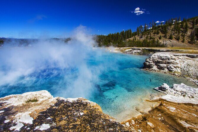 Family Friendly Private Tour at Yellowstone National Park w/Lunch - Who Is This Tour Best For?