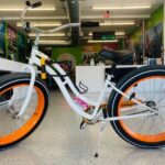 Fat Tire Bike Rental for Sand Riding - Who Will Love This Experience?