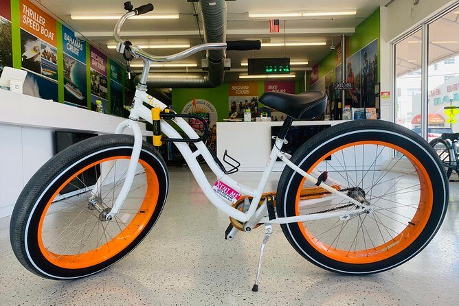 Fat Tire Bike Rental for Sand Riding - Who Will Love This Experience?