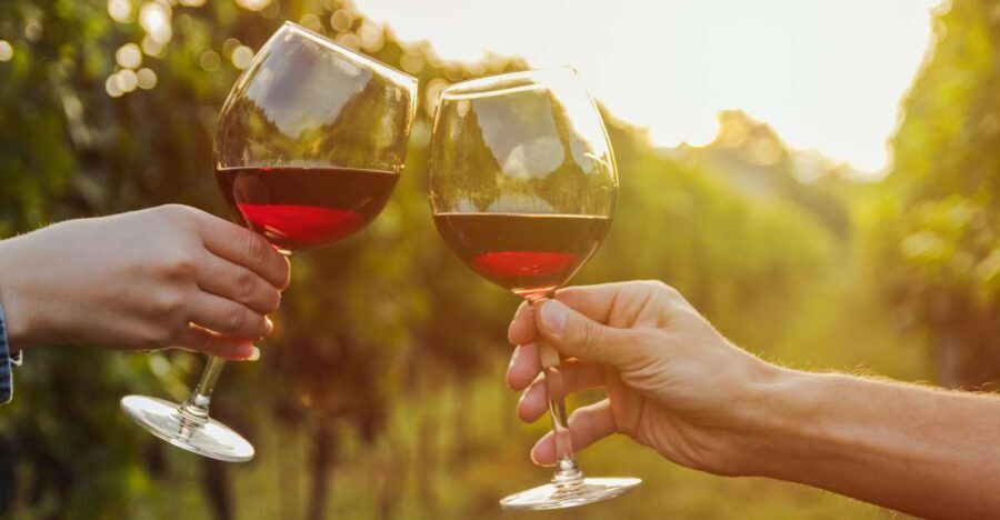 Fine Wining, Saturday - Practical Details and Value