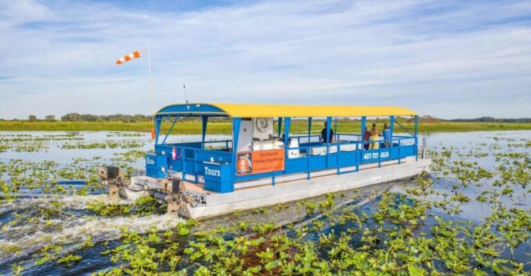 Florida: 90 Minute Everglades Cruise - What You Can Expect from the Tour
