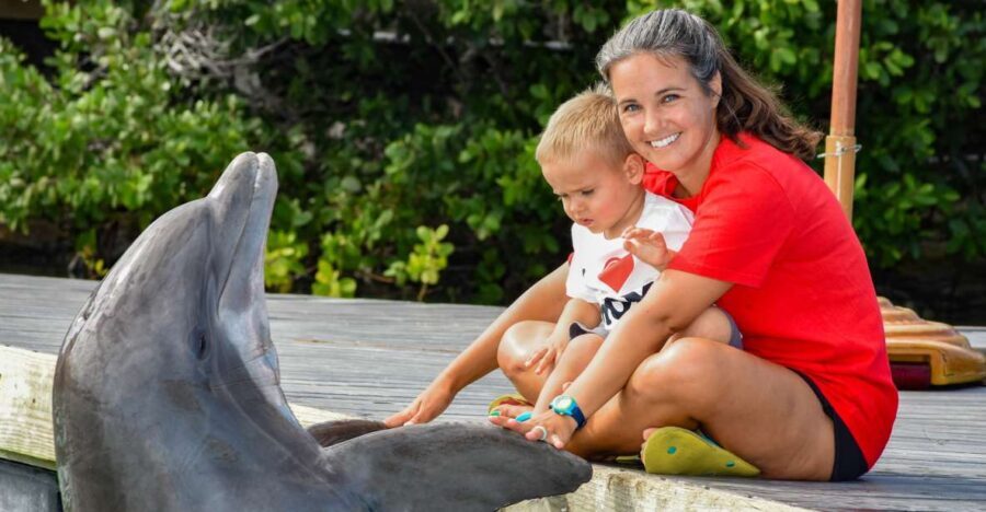 Florida Keys: Dockside Dolphin Experience - The Itinerary Breakdown