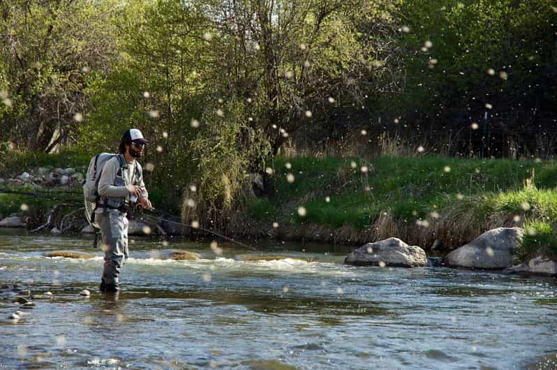 Fly Fish Utah Blue Ribbon Trout Waters - Final Thoughts: Who It’s Best For