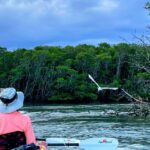 Fort Pierce: 4-hr Mangroves & Dolphin Watch Sandbar in FL - The Real Value of This Tour