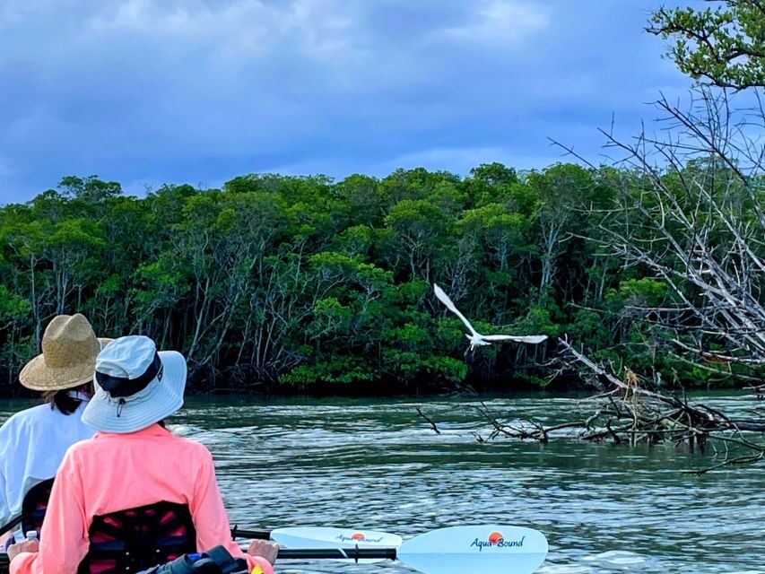 Fort Pierce: 4-hr Mangroves & Dolphin Watch Sandbar in FL - The Real Value of This Tour