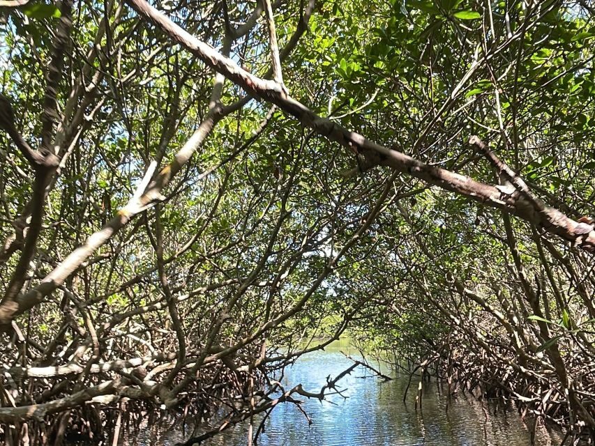 Fort Pierce: 6-hr Mangroves, Coastal Rivers & Wildlife in FL - The Equipment & Comfort Details