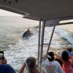 Fort Walton: Dolphin Discovery and Snorkeling Cruise - Is This Tour Worth It?