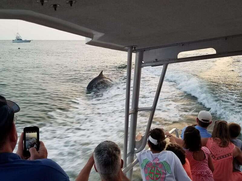 Fort Walton: Dolphin Discovery and Snorkeling Cruise - Is This Tour Worth It?