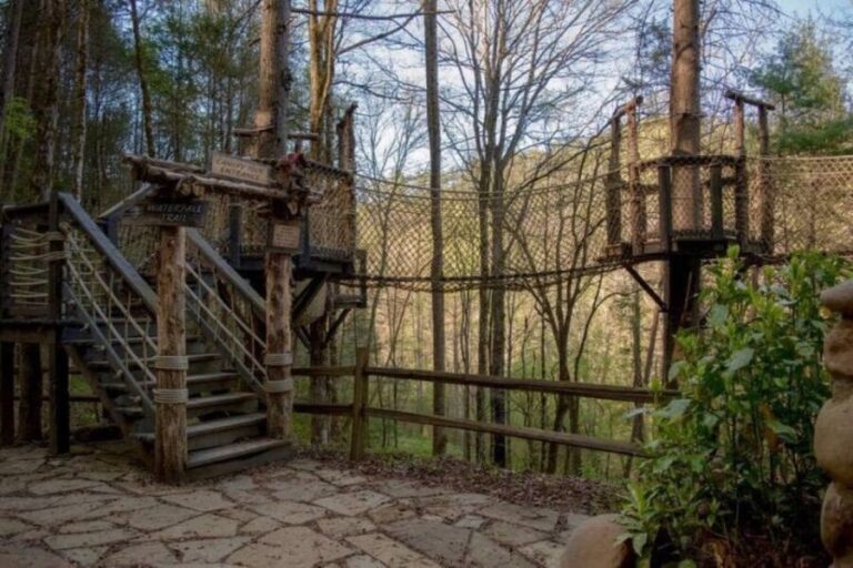 Foxfire Mountain: Hiking & Swinging Bridge Family Adventure - Who Will Love Foxfire Mountain?