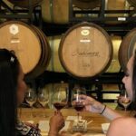 Fredericksburg Hill Country Aficionado Wine Tour from San Antonio - What’s Included and What’s Not