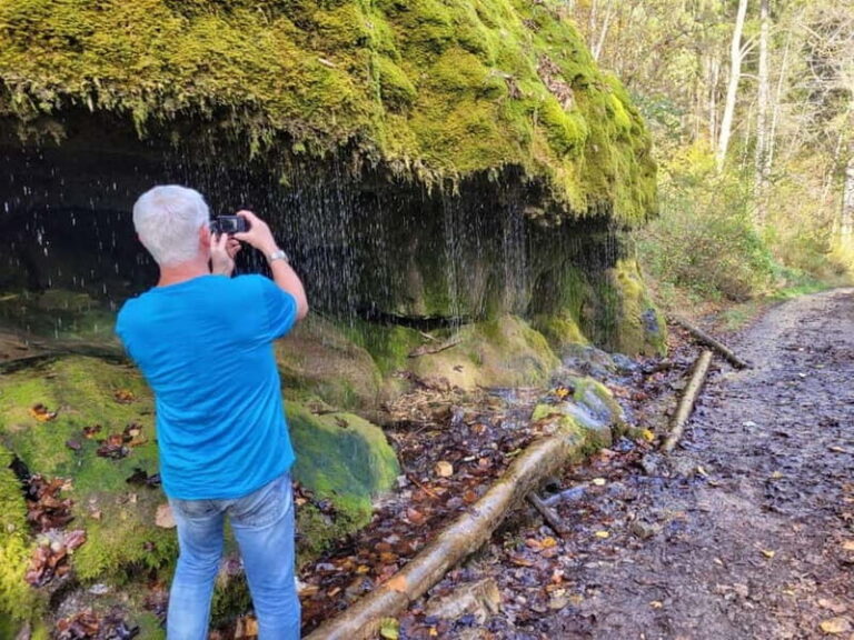 Freiburg: Private Black Forest Tour by car - An In-Depth Look at the Freiburg: Private Black Forest Tour