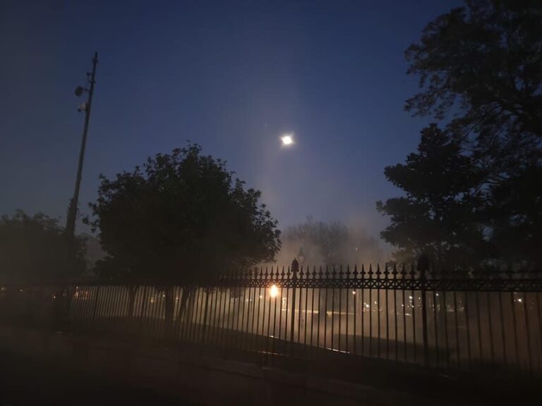French Quarter: Haunted Hollywood Ghost Tour in New Orleans - Who Should Take This Tour?