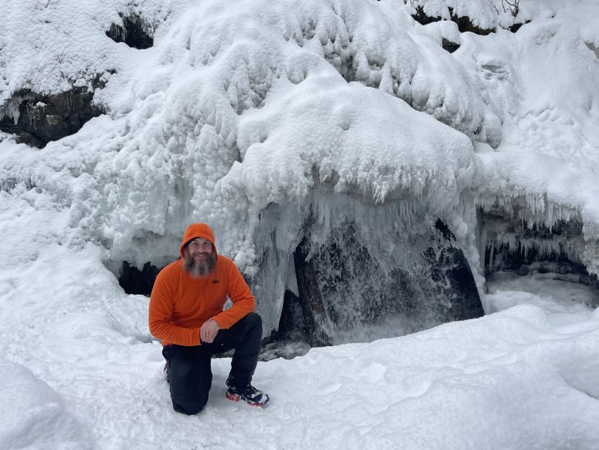 From Anchorage: Chugach State Park Winter Walking Tour - Who Should Consider This Tour?