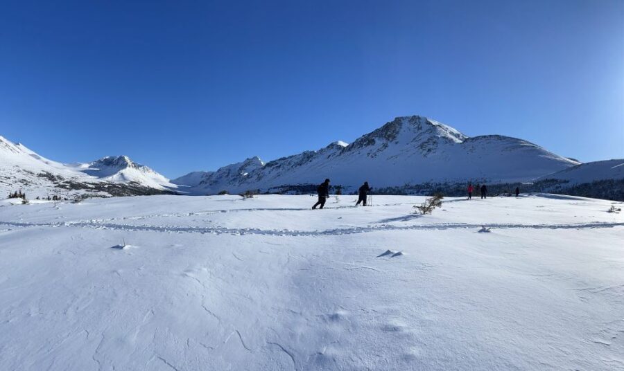 From Anchorage: Glen Alps Beginner's Snowshoeing Adventure - Practical Details and Considerations