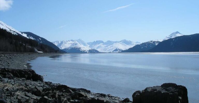 From Anchorage: Portage Glacier and Wildlife Full-Day Tour - Who Will Love This Tour?