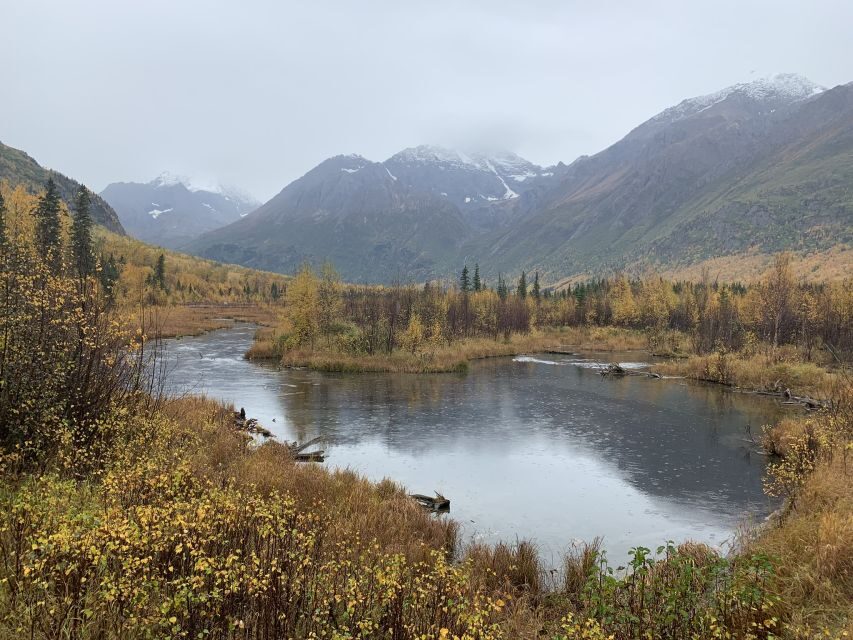 From Anchorage: Valley and Forest Hike with Naturalist Guide - Visiting Barbra Falls