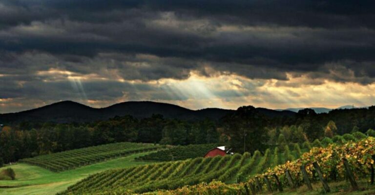 From Atlanta: North Georgia Wine Country Tour - An In-Depth Look at the North Georgia Wine Country Tour