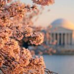 From Boston: 4-Day Tour to New York, D.C.&Niagara Falls - Transportation, Accommodation, and Group Dynamics