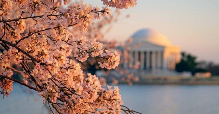 From Boston: 4-Day Tour to New York, D.C.&Niagara Falls - Transportation, Accommodation, and Group Dynamics