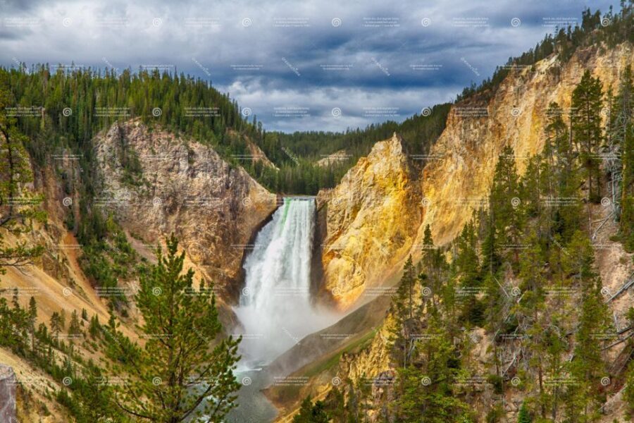 From Bozeman: Yellowstone Day Tour (Lower Loop) - Value for Money: Is it Worth It?