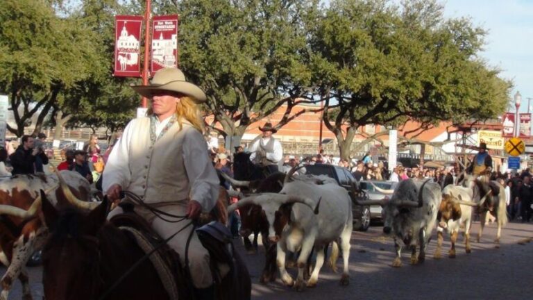 From Dallas: Fort Worth Guided Day Tour - Who Would Love This Tour?