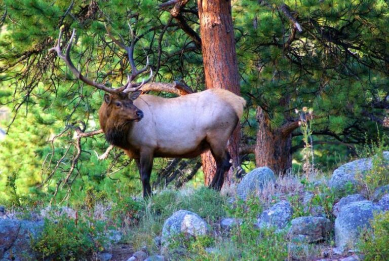From Denver: Hike the Rockies Tour - Final Thoughts