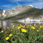 From Denver - Small group tour to Mount Evans /Mount Blue Sky - Who Is This Tour Best For?