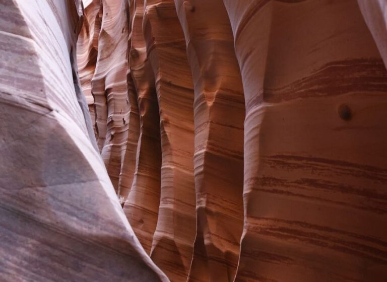 From Escalante: Zebra Slot Canyon Guided Tour and Hike - Is This Tour Worth It?